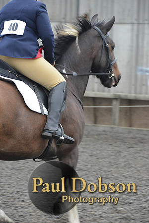 dressage-5702
