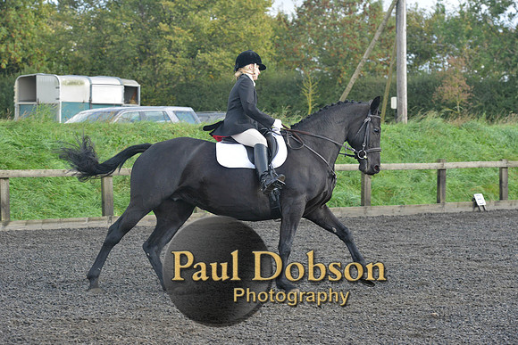 dressage-6878