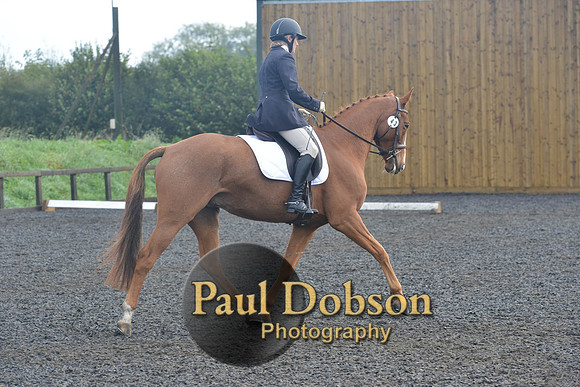 dressage-6775