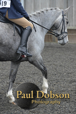 dressage-4920