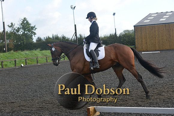 dressage-6816