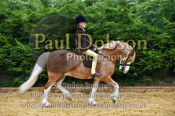 026_1260