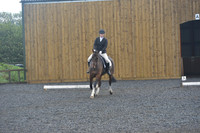 dressage-6747