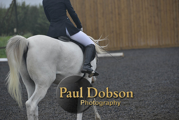 dressage-6507