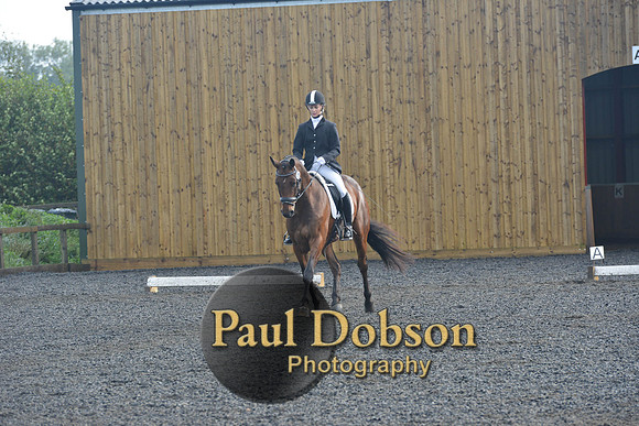 dressage-6809
