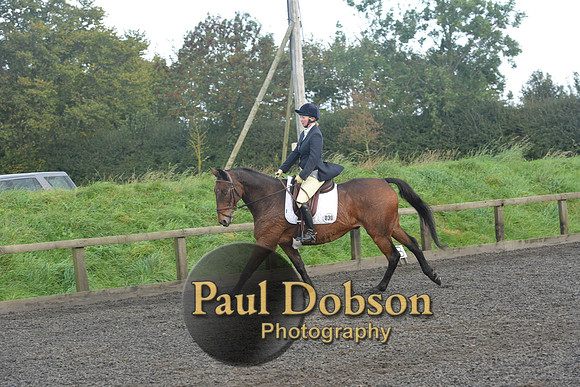 dressage-7296