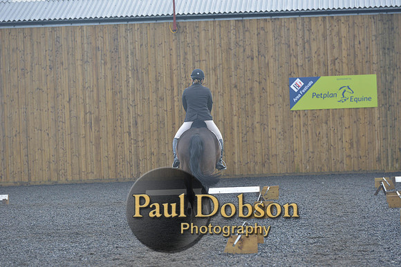 dressage-6741