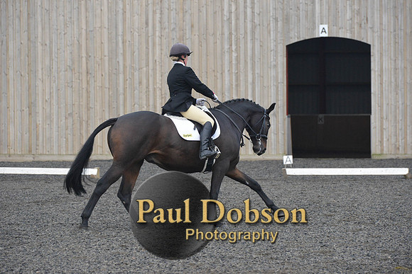 dressage-5169