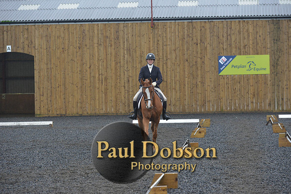 dressage-6630