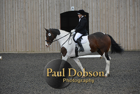 dressage-5933