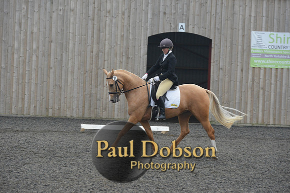 dressage-5758