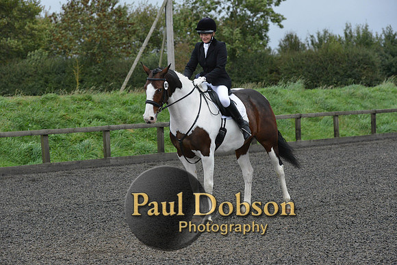 dressage-5945