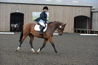 dressage-4107