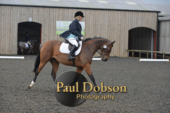 dressage-4107