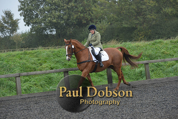 dressage-6305