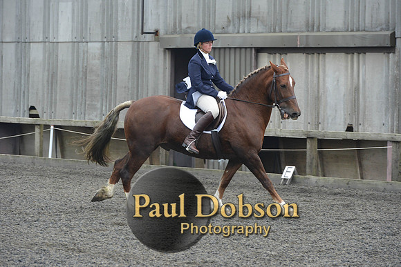 dressage-5443
