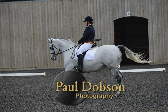 dressage-5964