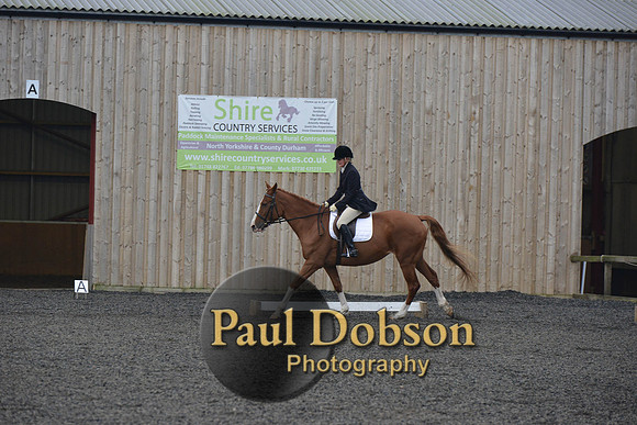 dressage-4514
