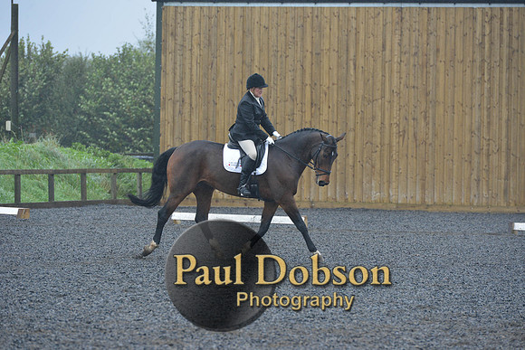 dressage-6453