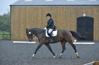 dressage-6454