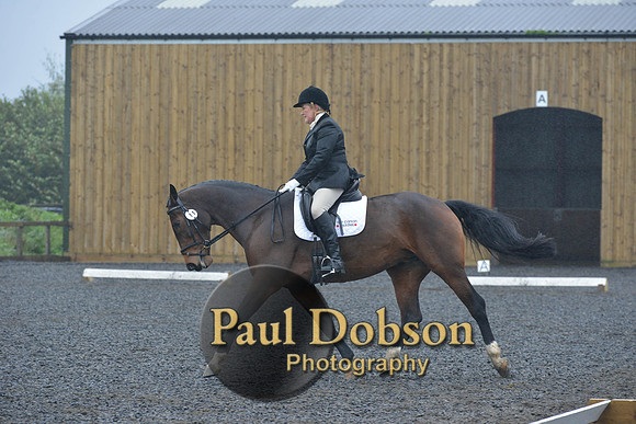 dressage-6454