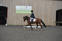 dressage-4104