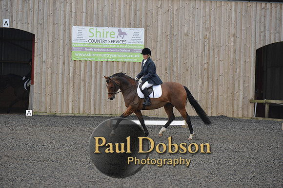 dressage-4104