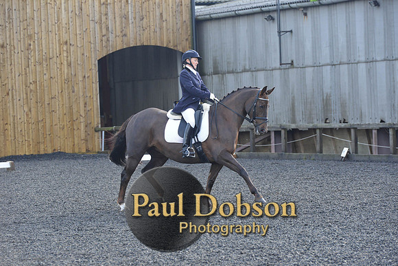 dressage-6870