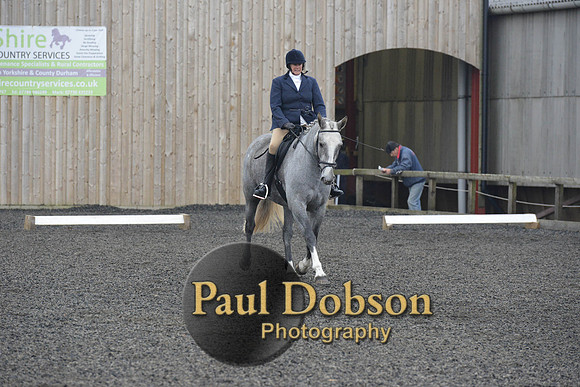 dressage-4895