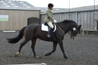 dressage-6294