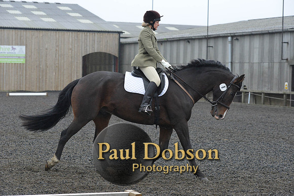 dressage-6294