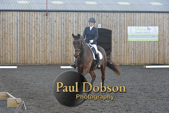 dressage-7327