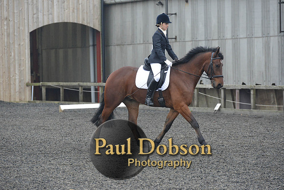 dressage-4934