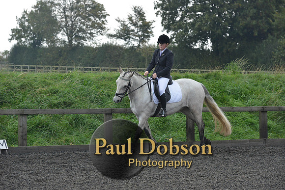 dressage-4553