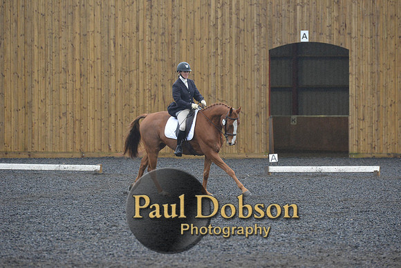 dressage-6627