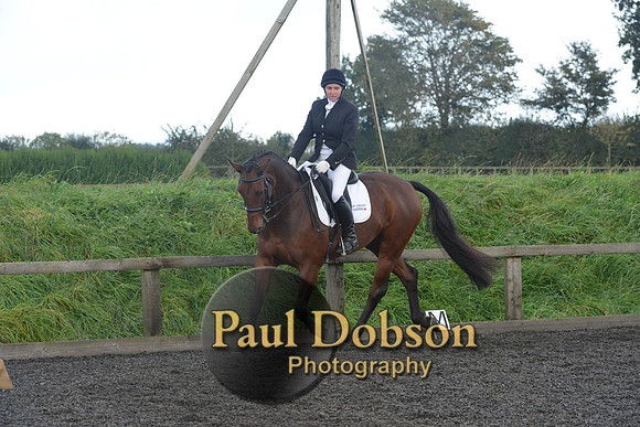 dressage-7323
