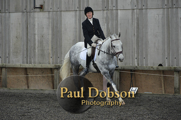 dressage-4551