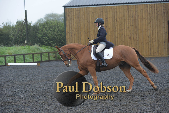 dressage-6628