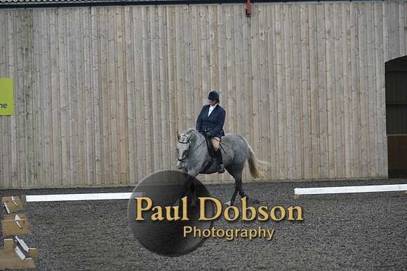 dressage-4918