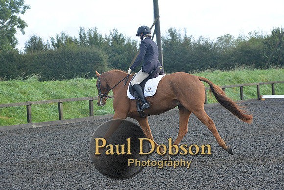 dressage-6802