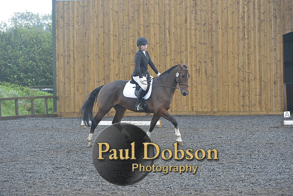 dressage-6764