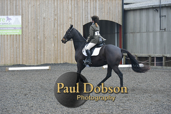 dressage-5461
