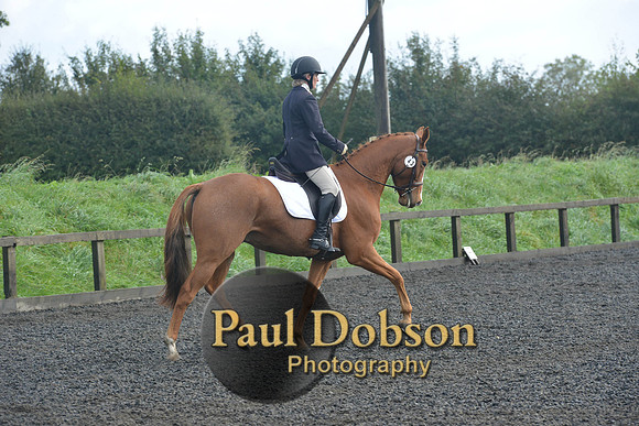 dressage-6796
