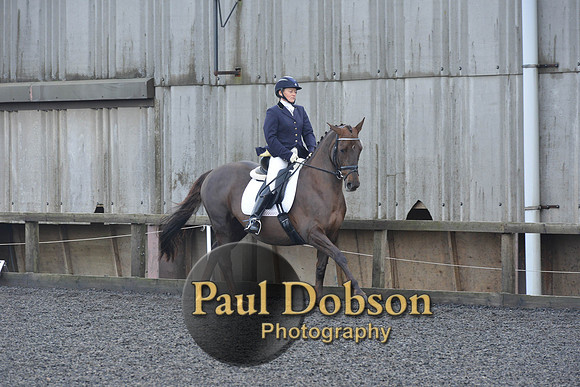 dressage-6890