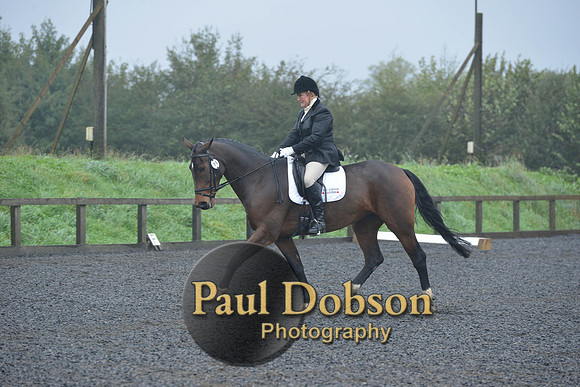 dressage-6467