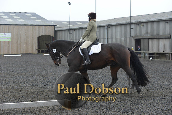 dressage-6303