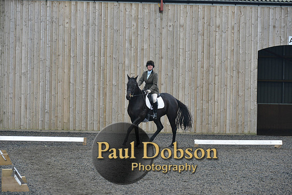 dressage-5463