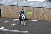 dressage-7236