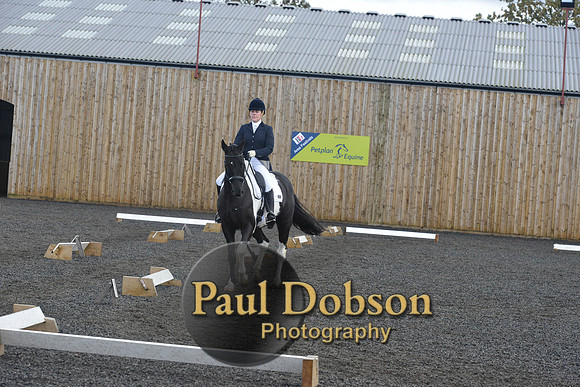 dressage-7236