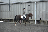 dressage-4875